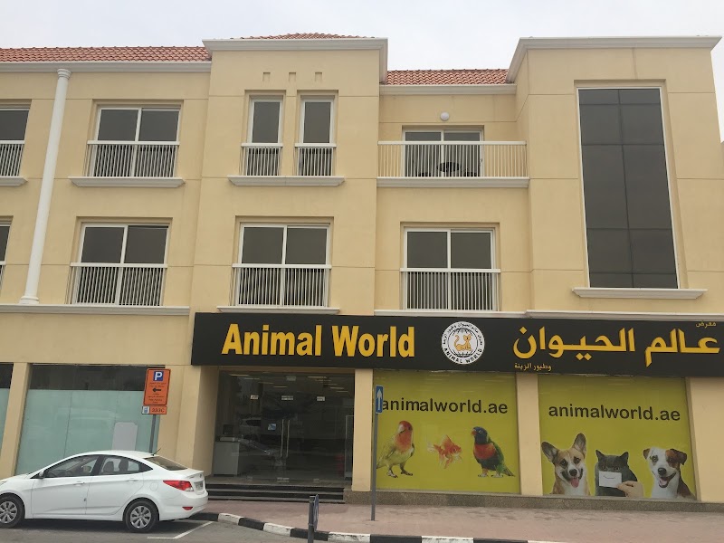 Pet Store Animal World | Dubai