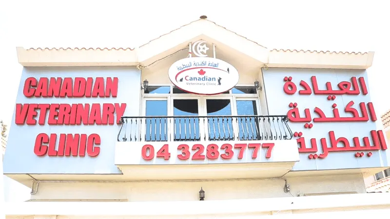 عيادة بيطرية كندية | دبي