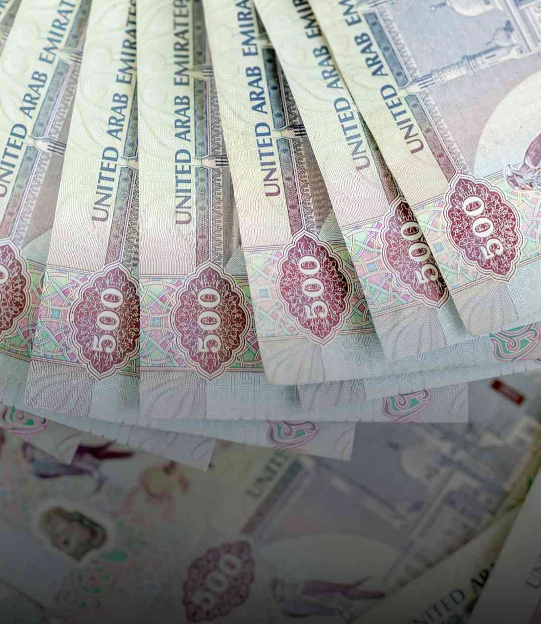 UAE to Increase Minimum Wage for Its Citizens
