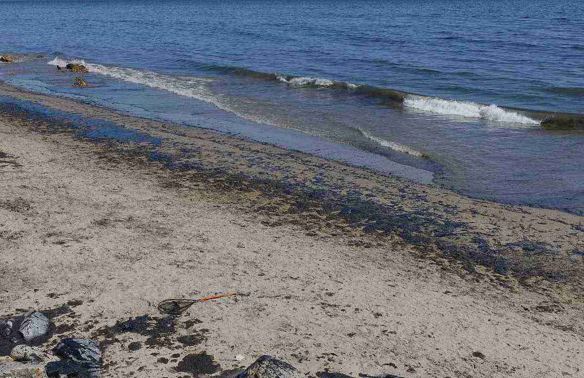 UAE Oil Spill Shuts Several Beaches Until Further Notice